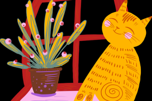 海角网址入口零基础指南：互动问答超清解析