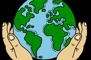 网友热议：每日大赛在线观看让人目瞪口呆