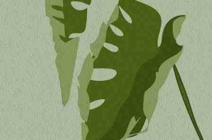 每日大赛：2025春季赛必看亮点看点合集