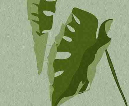 每日大赛：2025春季赛必看亮点看点合集