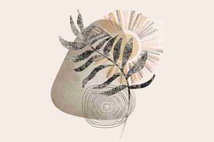 福利季-麻豆app-热门MOD-爽快体验