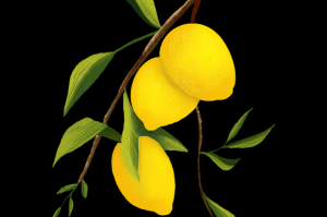 谁能想到？每日大赛在线观看爆出惊人真相