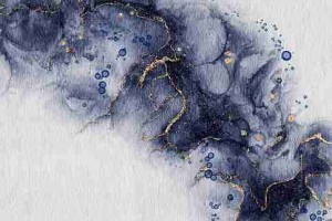 每日大赛高清直播：职业联赛评分最高