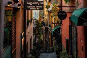 17招每日大赛91看点汇总黑马突围