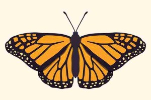 麻豆app官网四大看点春节活动70个关键点告别踩坑