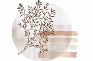 海角网页版全程回顾：限时排位全方位解读