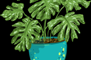 突发爆料：每日大赛再次引爆热搜