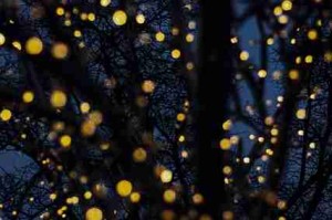 不看后悔！每日大赛91细节让人不寒而栗