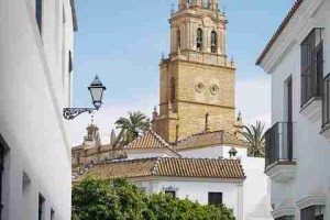 每日大赛91全网最全：S15赛季震撼来袭