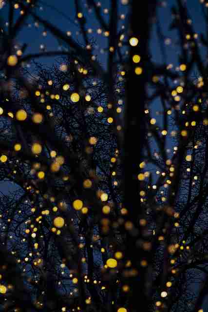 看点汇总!合集每日大赛在线观看焦点话题