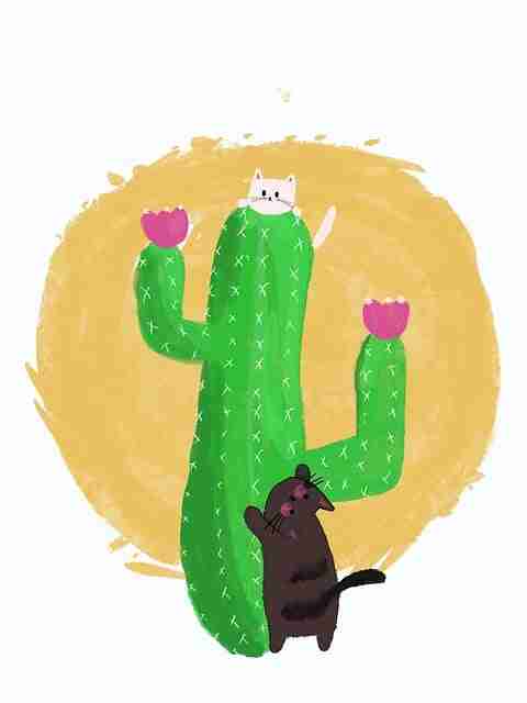 V4.0-麻豆网-资深向-全方位解读