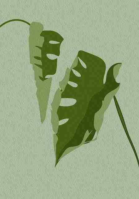 每日大赛：2025春季赛必看亮点看点合集